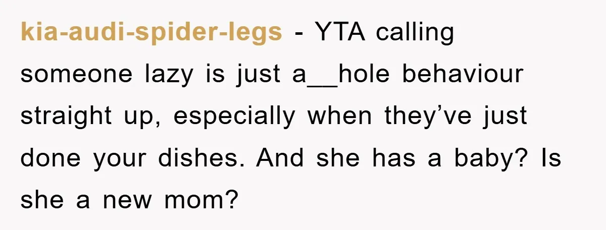 kia-audi-spider-legs − YTA calling someone lazy is just a__hole behaviour straight up, especially when they’ve just done your dishes. And she has a baby? Is she a new mom?
