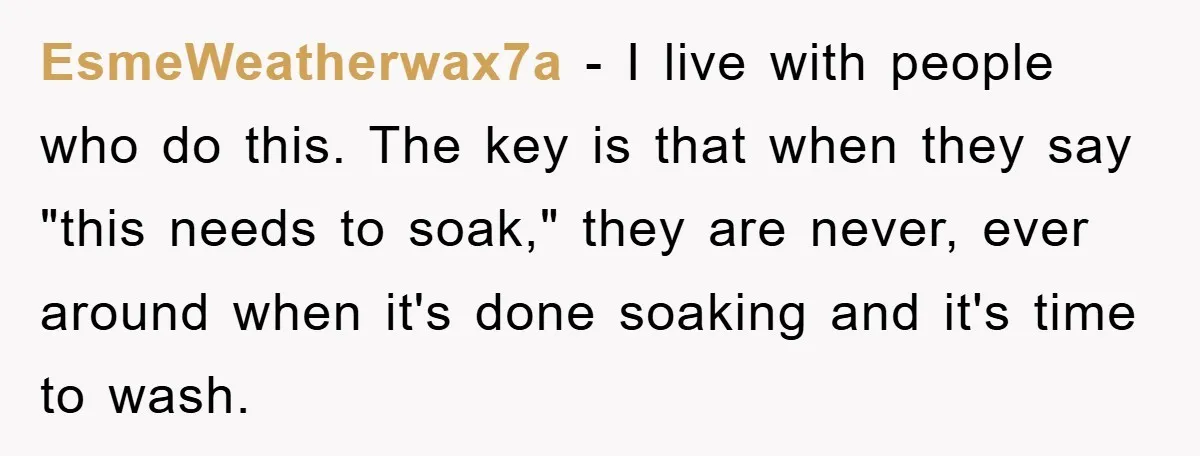 EsmeWeatherwax7a − I live with people who do this. The key is that when they say "this needs to soak," they are never, ever around when it's done soaking and...