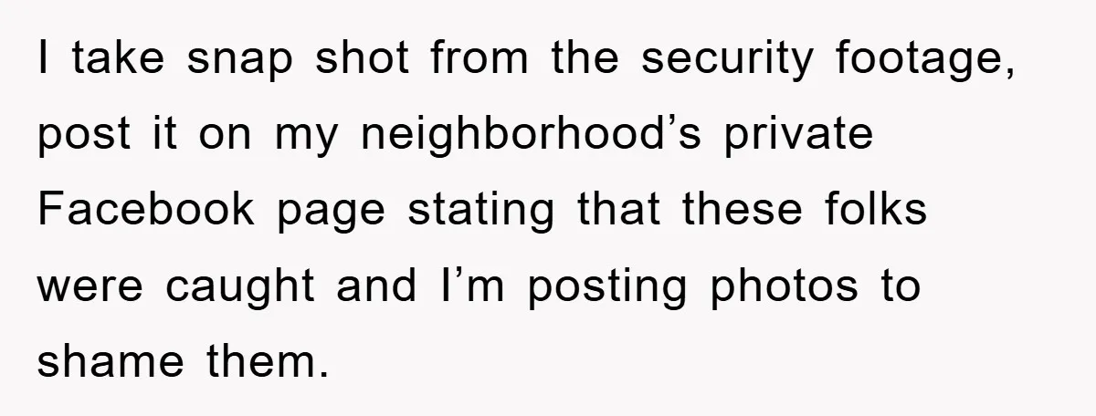 I take snap shot from the security footage, post it on my neighborhood’s private Facebook page stating that these folks were caught and I’m posting photos to shame them.