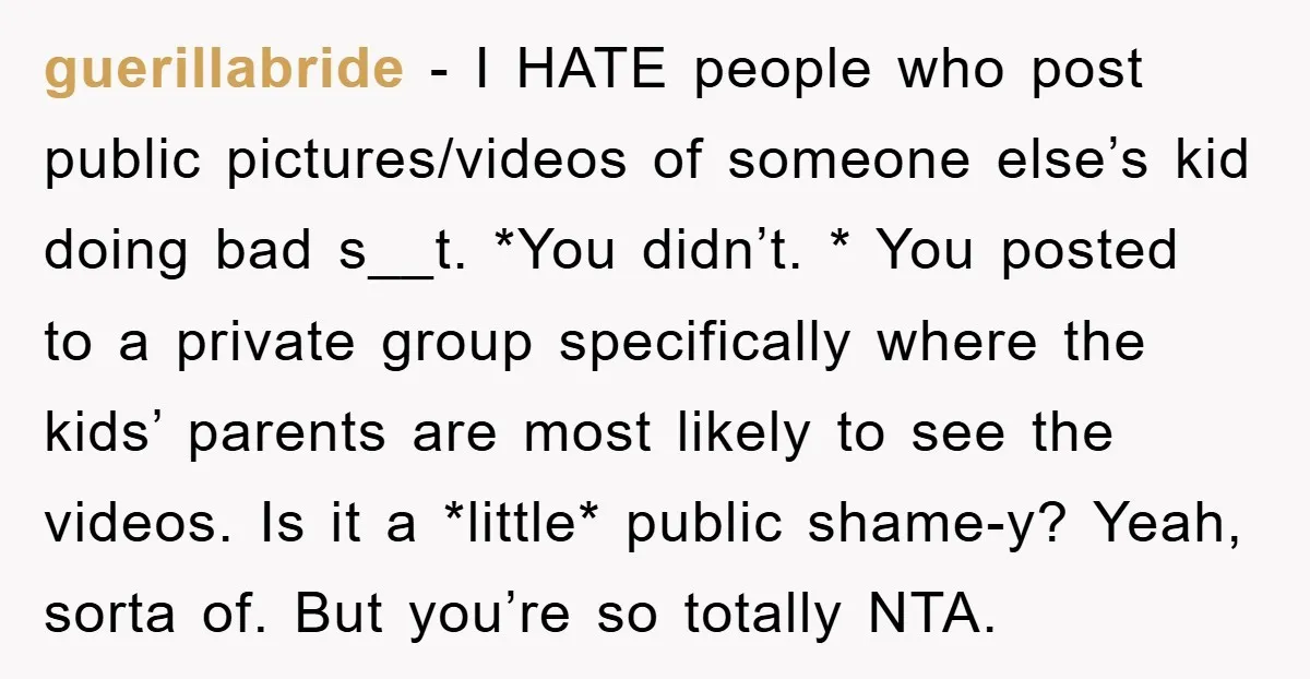 guerillabride − I HATE people who post public pictures/videos of someone else’s kid doing bad s__t. *You didn’t. * You posted to a private group specifically where the kids’ parents...