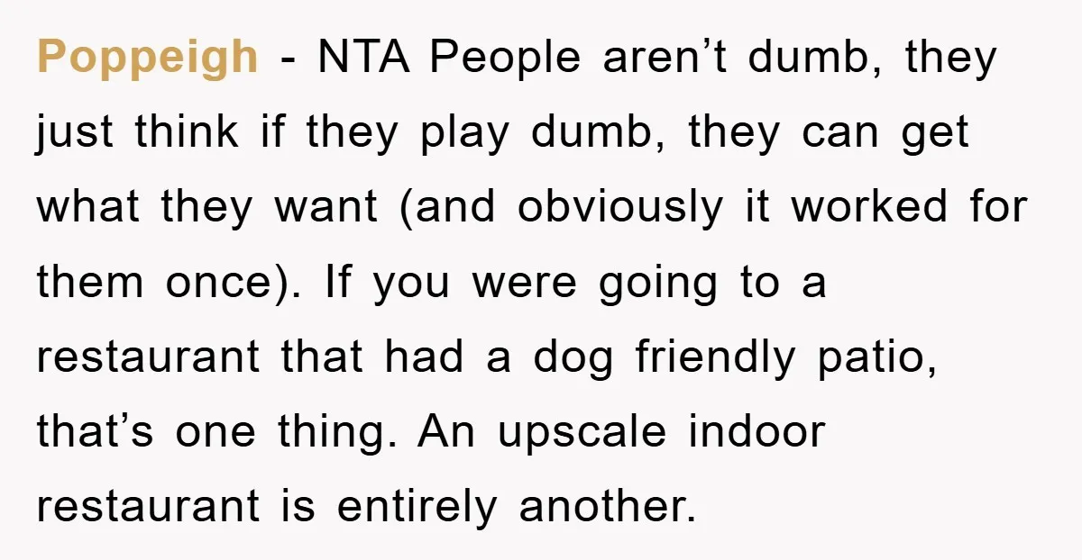 Poppeigh − NTA People aren’t dumb, they just think if they play dumb, they can get what they want (and obviously it worked for them once). If you were going...