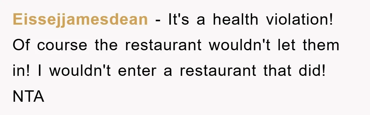 Eissejjamesdean − It's a health violation! Of course the restaurant wouldn't let them in! I wouldn't enter a restaurant that did! NTA
