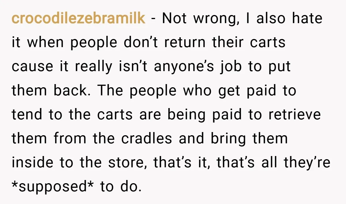 crocodilezebramilk − Not wrong, I also hate it when people don’t return their carts cause it really isn’t anyone’s job to put them back. The people who get paid to...