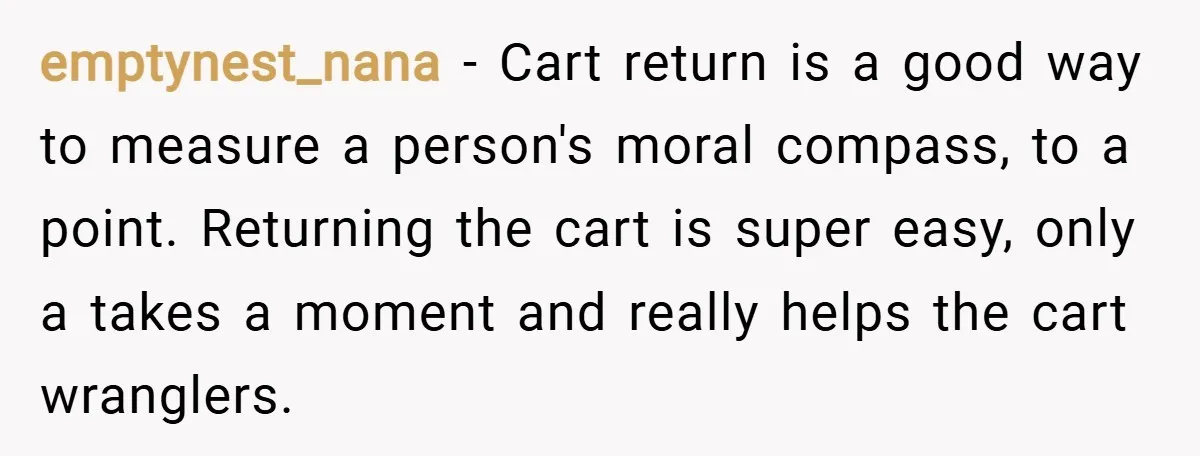 emptynest_nana − Cart return is a good way to measure a person's moral compass, to a point. Returning the cart is super easy, only a takes a moment and really...