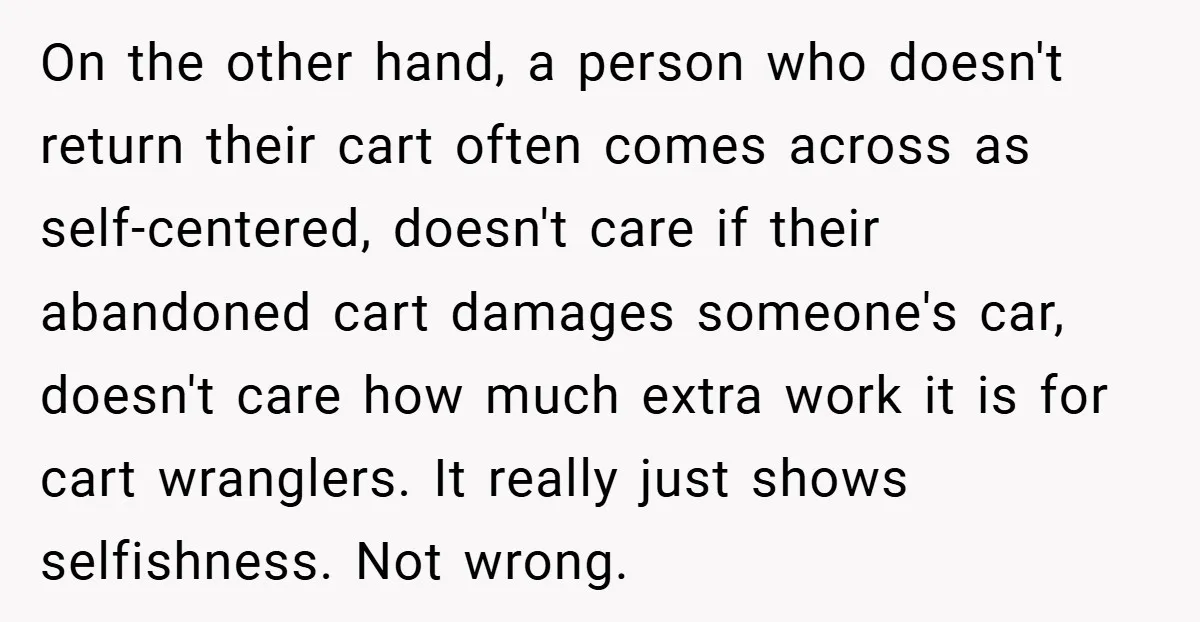 On the other hand, a person who doesn't return their cart often comes across as self-centered, doesn't care if their abandoned cart damages someone's car, doesn't care how much extra...