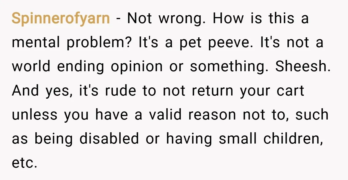 Spinnerofyarn − Not wrong. How is this a mental problem? It's a pet peeve. It's not a world ending opinion or something. Sheesh. And yes, it's rude to not return...