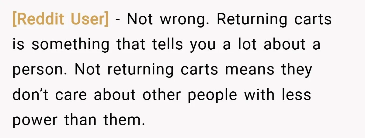 [Reddit User] − Not wrong. Returning carts is something that tells you a lot about a person. Not returning carts means they don’t care about other people with less power...