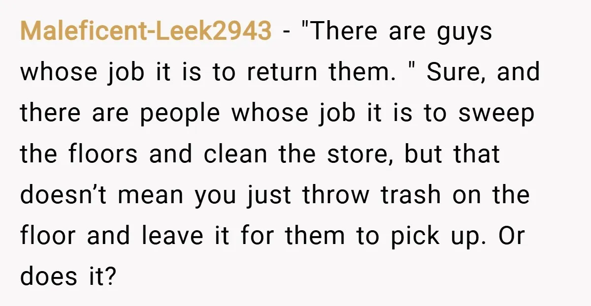 Maleficent-Leek2943 − "There are guys whose job it is to return them. " Sure, and there are people whose job it is to sweep the floors and clean the store,...