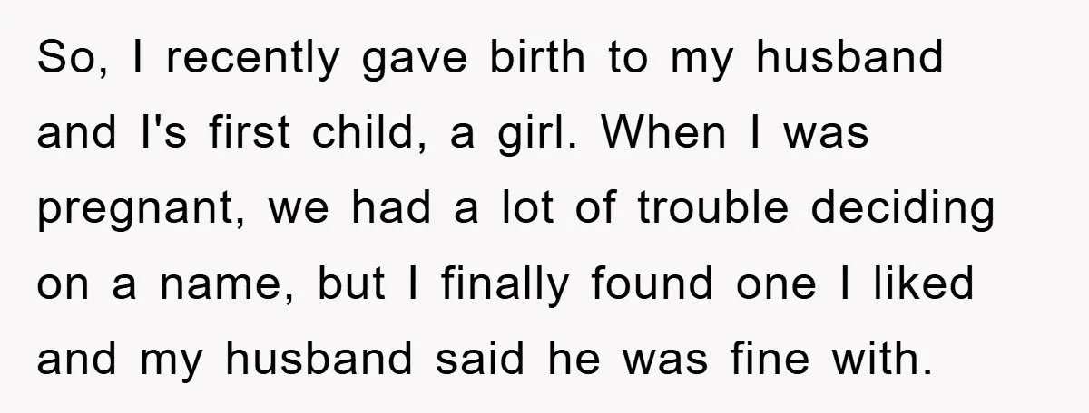 So, I recently gave birth to my husband and I's first child, a girl. When I was pregnant, we had a lot of trouble deciding on a name, but I...