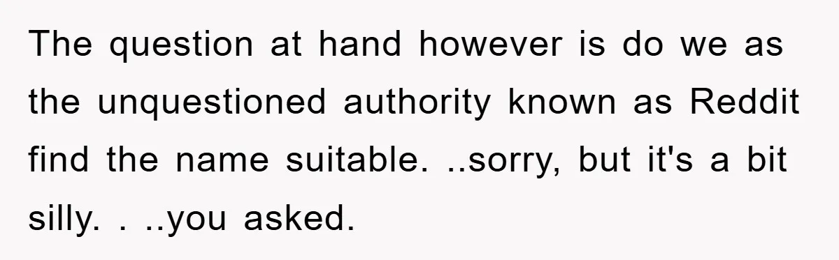 The question at hand however is do we as the unquestioned authority known as Reddit find the name suitable. ..sorry, but it's a bit silly. . ..you asked.