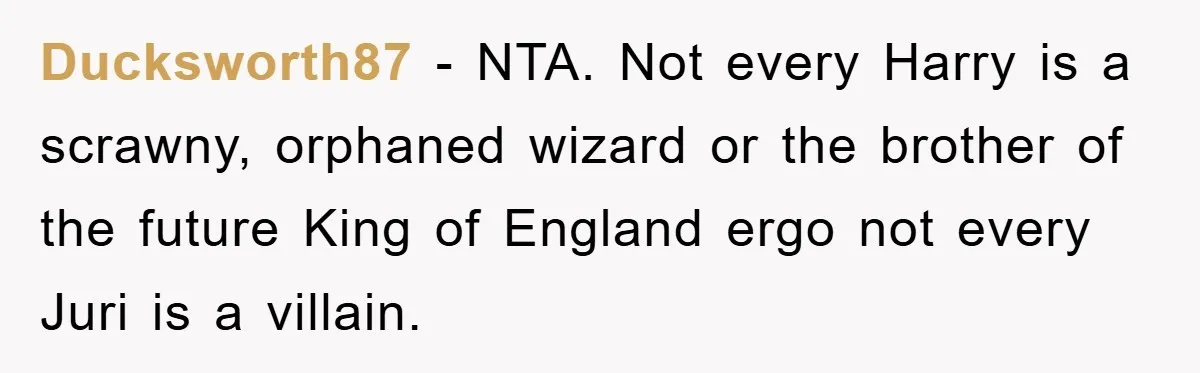 Ducksworth87 − NTA. Not every Harry is a scrawny, orphaned wizard or the brother of the future King of England ergo not every Juri is a villain.