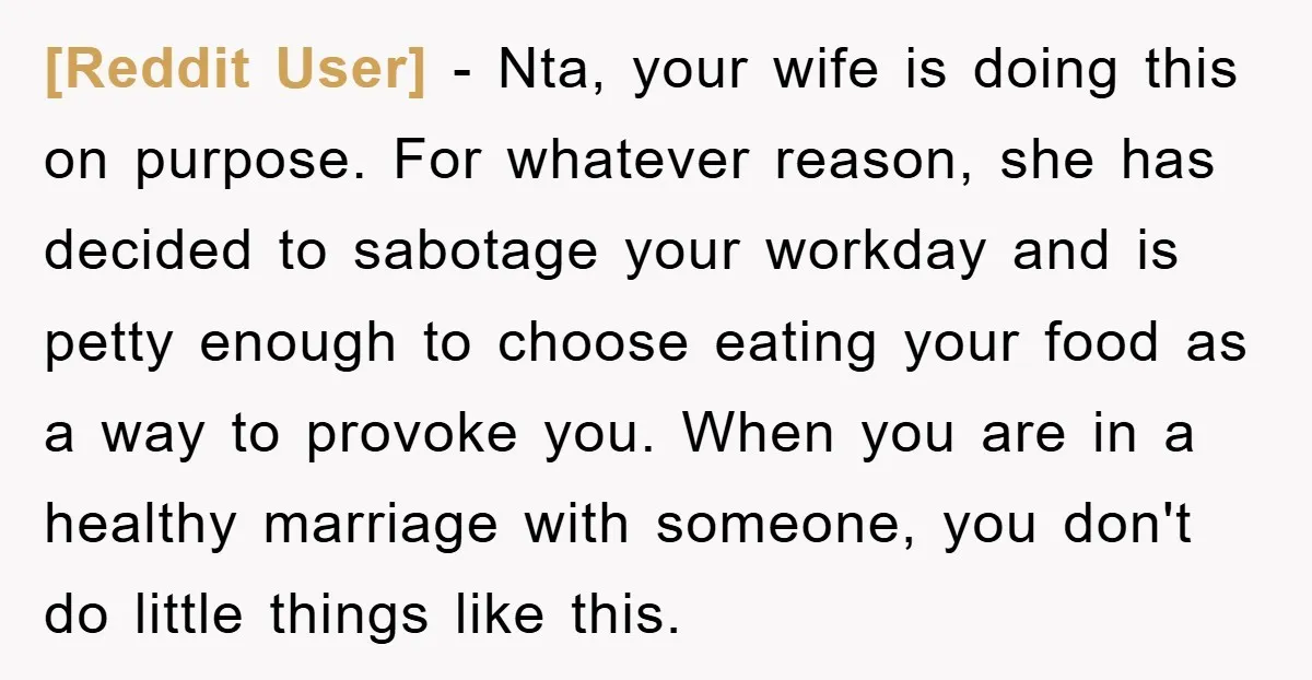 [Reddit User] − Nta, your wife is doing this on purpose. For whatever reason, she has decided to sabotage your workday and is petty enough to choose eating your food...