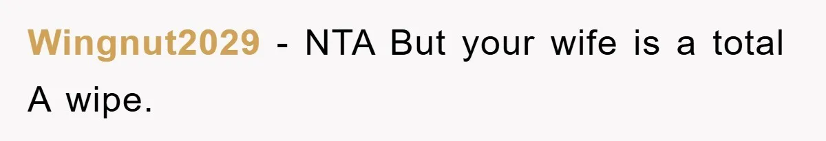 Wingnut2029 − NTA But your wife is a total A wipe.