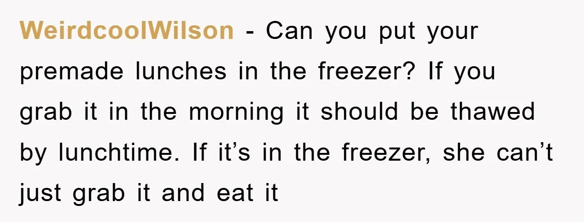 WeirdcoolWilson − Can you put your premade lunches in the freezer? If you grab it in the morning it should be thawed by lunchtime. If it’s in the freezer, she...