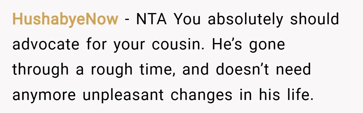 HushabyeNow − NTA You absolutely should advocate for your cousin. He’s gone through a rough time, and doesn’t need anymore unpleasant changes in his life.