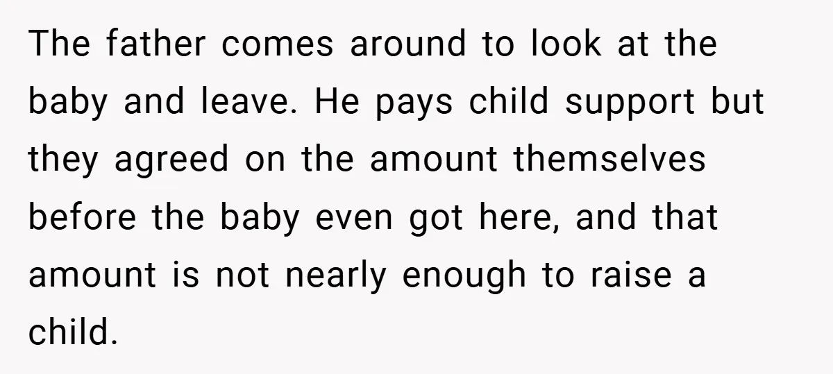 The father comes around to look at the baby and leave. He pays child support but they agreed on the amount themselves before the baby even got here, and that...