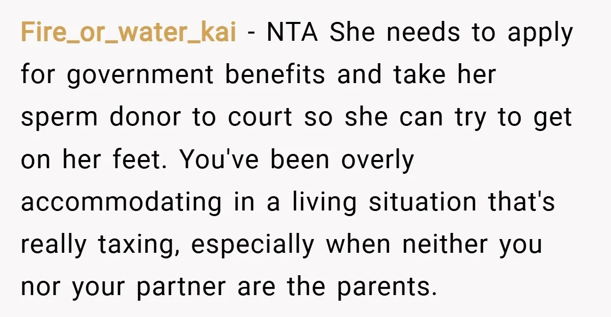 Fire_or_water_kai − NTA She needs to apply for government benefits and take her sperm donor to court so she can try to get on her feet. You've been overly accommodating...