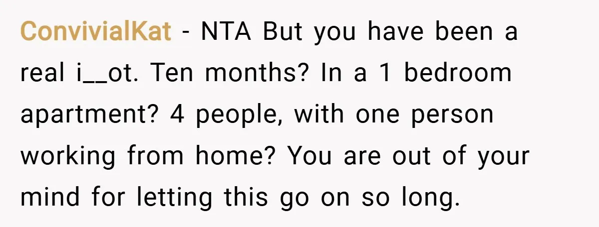 ConvivialKat − NTA But you have been a real i__ot. Ten months? In a 1 bedroom apartment? 4 people, with one person working from home? You are out of your...