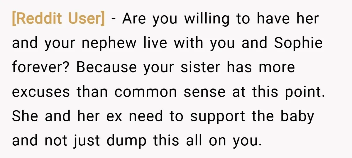 [Reddit User] − Are you willing to have her and your nephew live with you and Sophie forever? Because your sister has more excuses than common sense at this point....