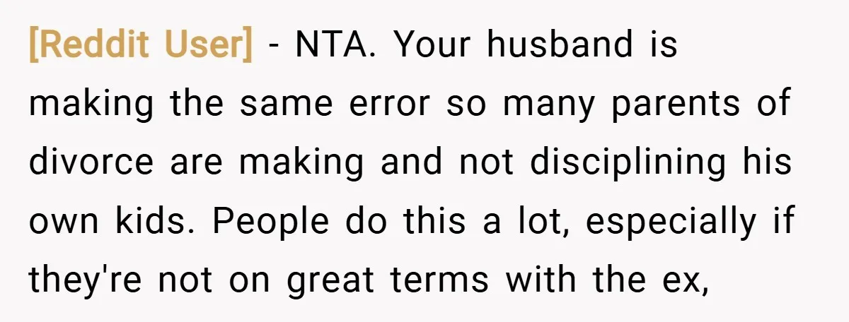 [Reddit User] − NTA. Your husband is making the same error so many parents of divorce are making and not disciplining his own kids. People do this a lot, especially...