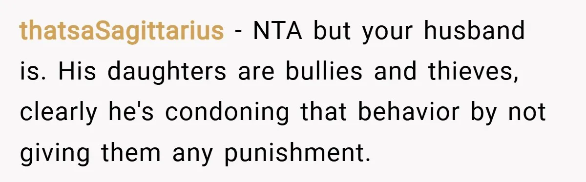thatsaSagittarius − NTA but your husband is. His daughters are bullies and thieves, clearly he's condoning that behavior by not giving them any punishment.