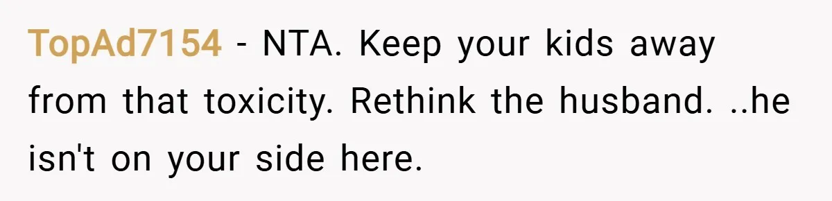 TopAd7154 − NTA. Keep your kids away from that toxicity. Rethink the husband. ..he isn't on your side here.