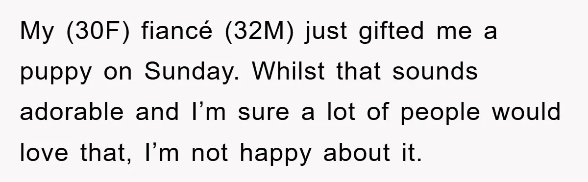 My (30F) fiancé (32M) just gifted me a puppy on Sunday. Whilst that sounds adorable and I’m sure a lot of people would love that, I’m not happy about it.