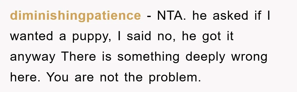 diminishingpatience − NTA. he asked if I wanted a puppy, I said no, he got it anyway There is something deeply wrong here. You are not the problem.