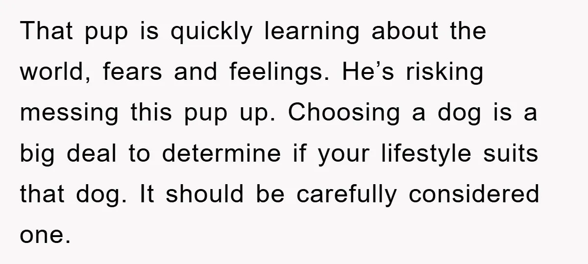 That pup is quickly learning about the world, fears and feelings. He’s risking messing this pup up. Choosing a dog is a big deal to determine if your lifestyle suits...