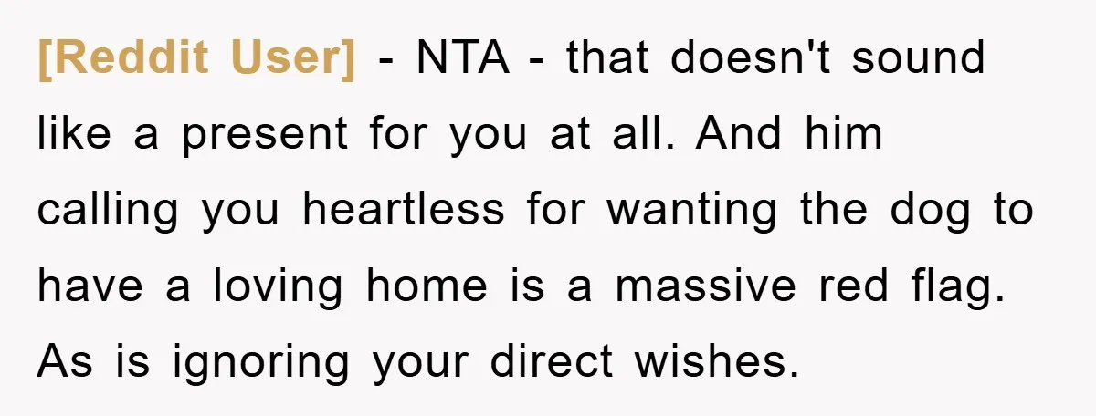 [Reddit User] − NTA - that doesn't sound like a present for you at all. And him calling you heartless for wanting the dog to have a loving home is...