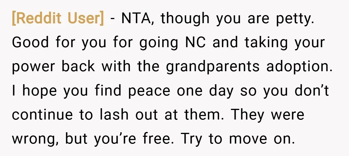 [Reddit User] − NTA, though you are petty. Good for you for going NC and taking your power back with the grandparents adoption. I hope you find peace one day...