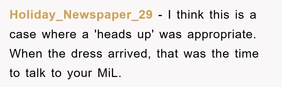 Holiday_Newspaper_29 − I think this is a case where a 'heads up' was appropriate. When the dress arrived, that was the time to talk to your MiL.