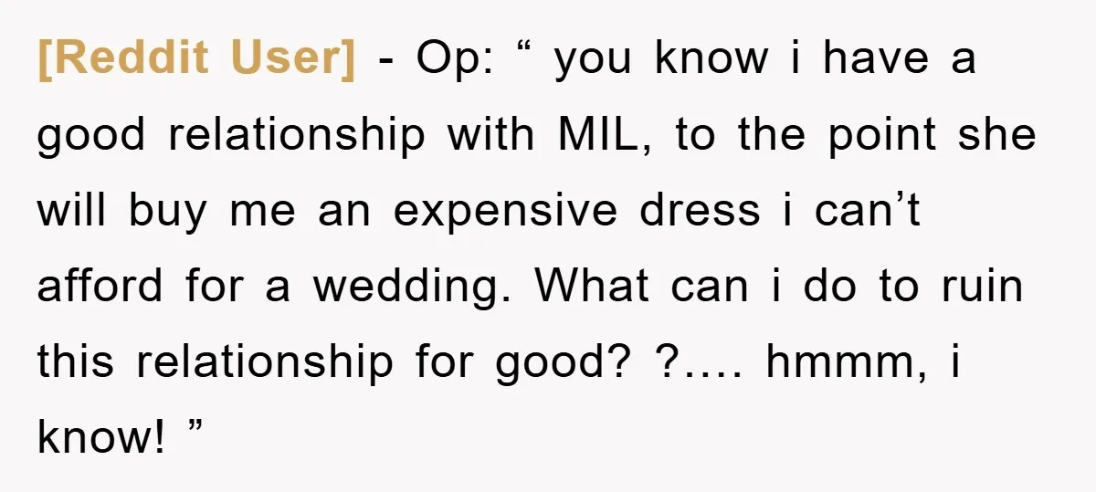 [Reddit User] − Op: “ you know i have a good relationship with MIL, to the point she will buy me an expensive dress i can’t afford for a wedding....
