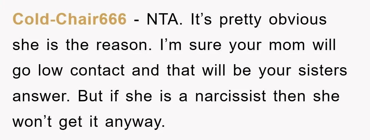 Cold-Chair666 − NTA. It’s pretty obvious she is the reason. I’m sure your mom will go low contact and that will be your sisters answer. But if she is a...