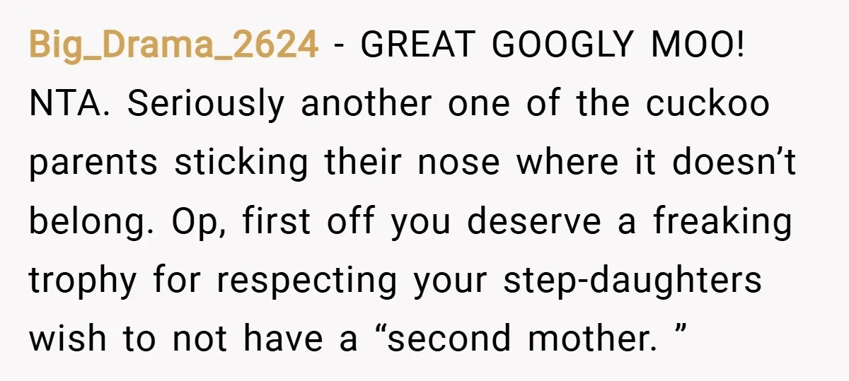 Big_Drama_2624 − GREAT GOOGLY MOO! NTA. Seriously another one of the cuckoo parents sticking their nose where it doesn’t belong. Op, first off you deserve a freaking trophy for respecting...