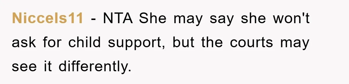 Niccels11 − NTA She may say she won't ask for child support, but the courts may see it differently.