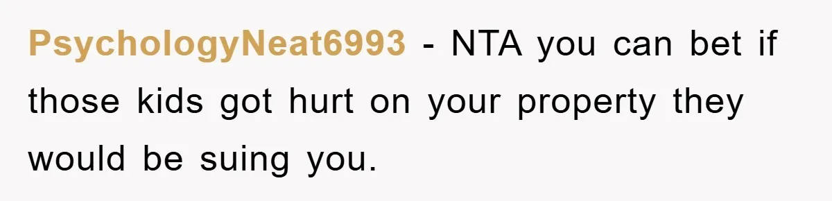 PsychologyNeat6993 − NTA you can bet if those kids got hurt on your property they would be suing you.