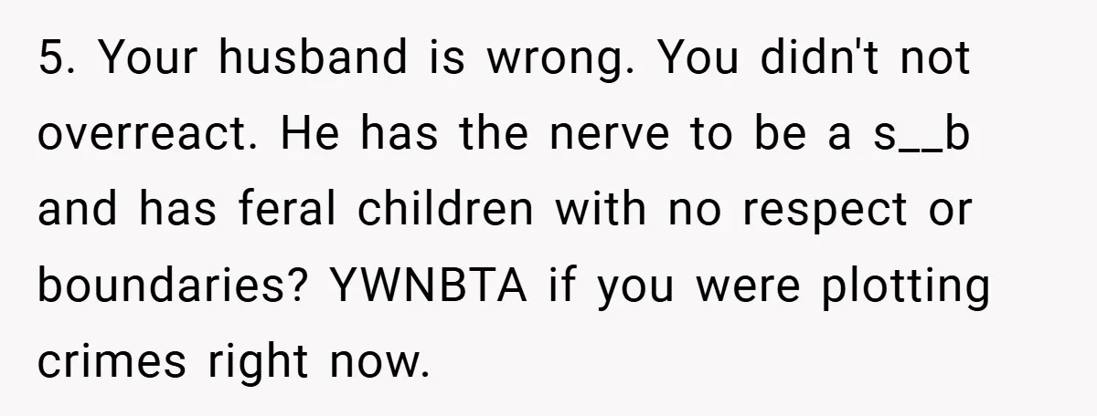 5. Your husband is wrong. You didn't not overreact. He has the nerve to be a s__b and has feral children with no respect or boundaries? YWNBTA if you were...