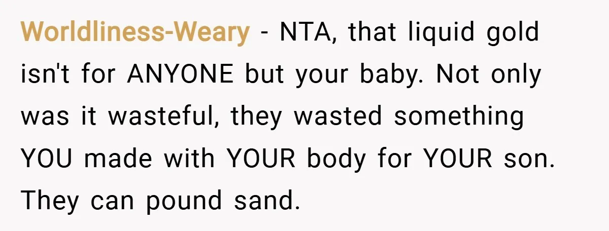 Worldliness-Weary − NTA, that liquid gold isn't for ANYONE but your baby. Not only was it wasteful, they wasted something YOU made with YOUR body for YOUR son. They can...