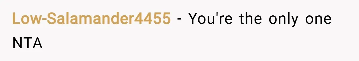 Low-Salamander4455 − You're the only one NTA