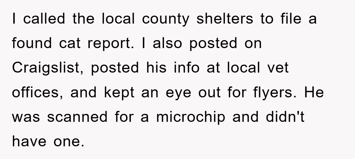 I called the local county shelters to file a found cat report. I also posted on Craigslist, posted his info at local vet offices, and kept an eye out for...