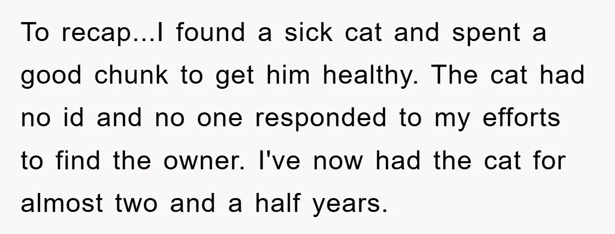 To recap...I found a sick cat and spent a good chunk to get him healthy. The cat had no id and no one responded to my efforts to find the...