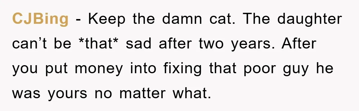 CJBing − Keep the damn cat. The daughter can’t be *that* sad after two years. After you put money into fixing that poor guy he was yours no matter what.