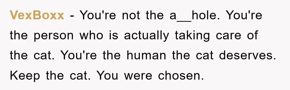 VexBoxx − You're not the a__hole. You're the person who is actually taking care of the cat. You're the human the cat deserves. Keep the cat. You were chosen.