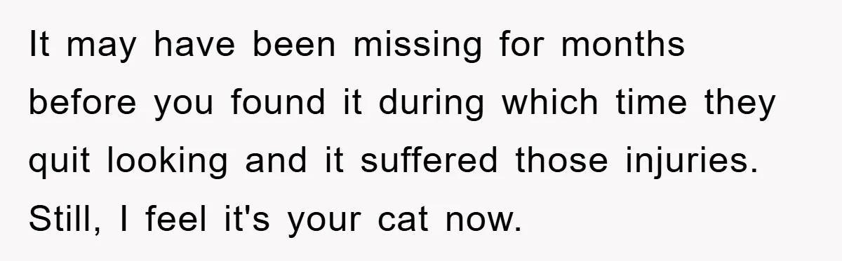 It may have been missing for months before you found it during which time they quit looking and it suffered those injuries. Still, I feel it's your cat now.