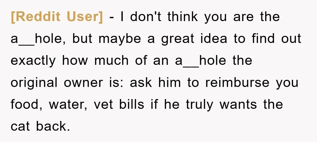 [Reddit User] − I don't think you are the a__hole, but maybe a great idea to find out exactly how much of an a__hole the original owner is: ask him...