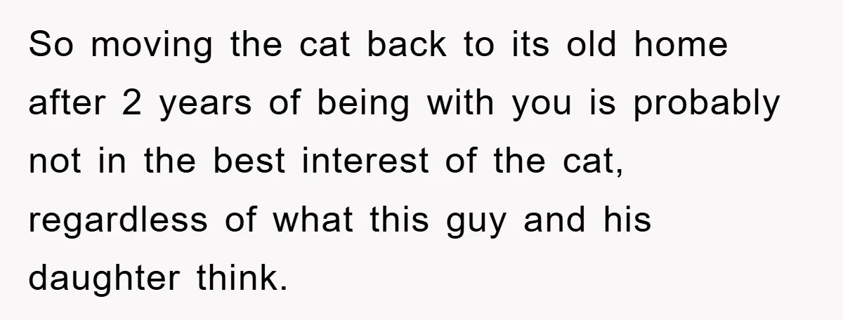 So moving the cat back to its old home after 2 years of being with you is probably not in the best interest of the cat, regardless of what this...