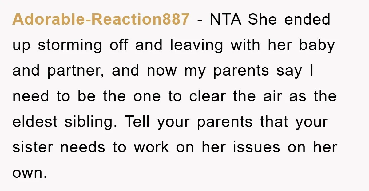 Adorable-Reaction887 − NTA She ended up storming off and leaving with her baby and partner, and now my parents say I need to be the one to clear the air...