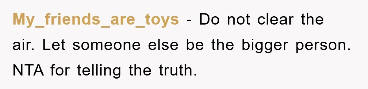 My_friends_are_toys − Do not clear the air. Let someone else be the bigger person. NTA for telling the truth.