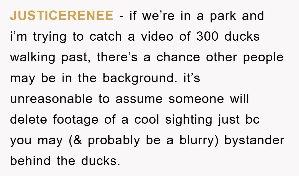 JUSTICERENEE − if we’re in a park and i’m trying to catch a video of 300 ducks walking past, there’s a chance other people may be in the background. it’s...